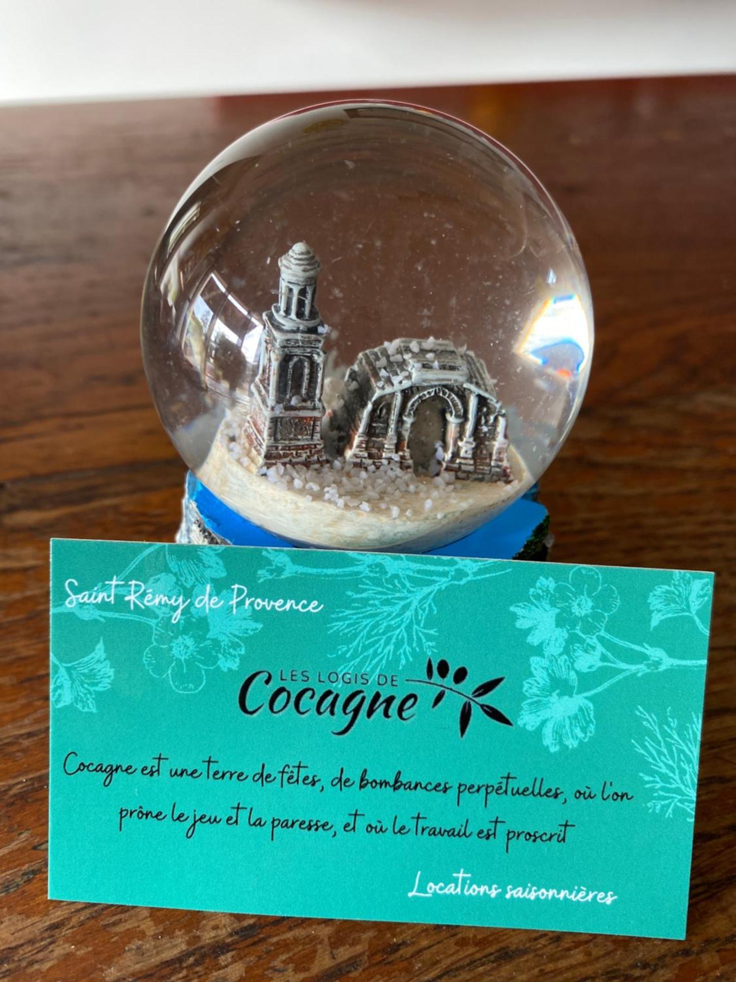 Les Logis De Cocagne Apartment Saint-Rémy-de-Provence Екстериор снимка