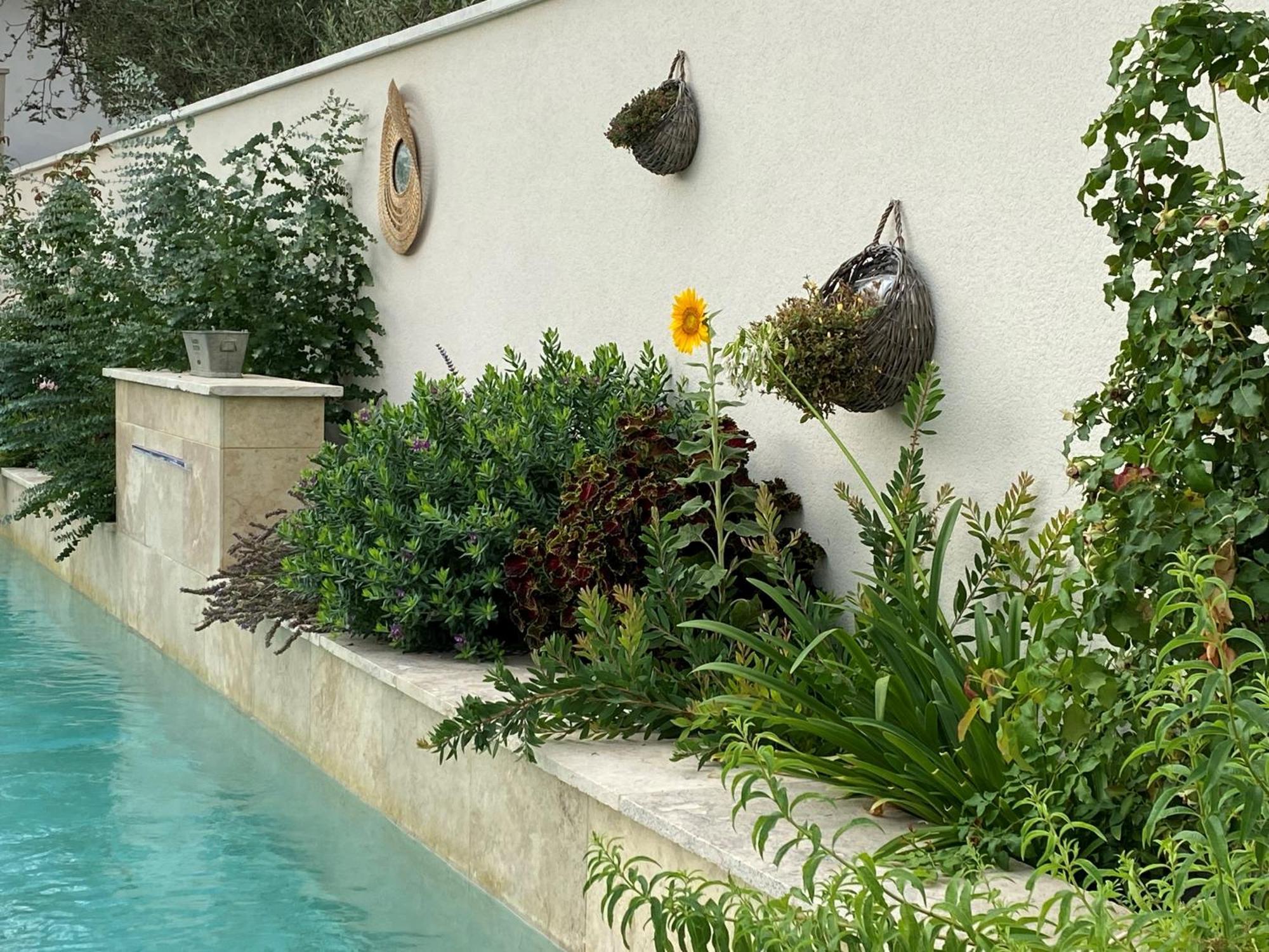 Les Logis De Cocagne Apartment Saint-Rémy-de-Provence Екстериор снимка